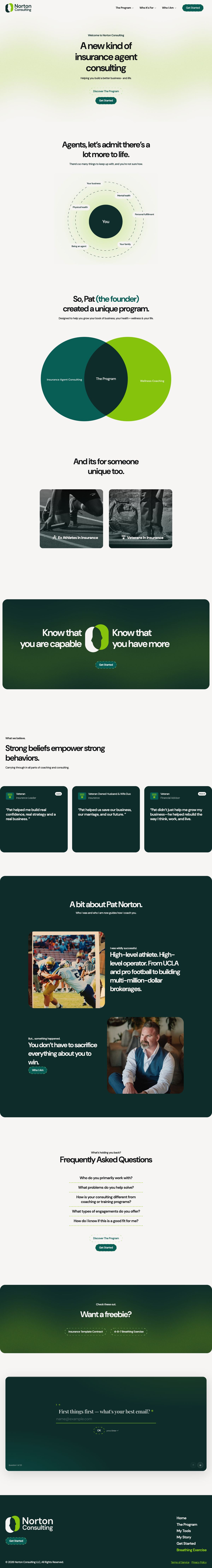 Norton Consulting website, desktop view