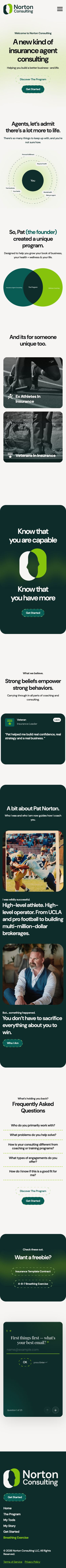 Norton Consulting website, mobile view
